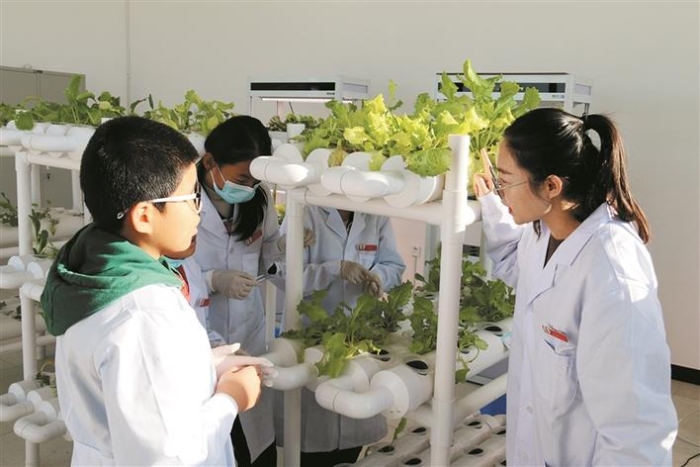 519162_700x700 519162_700x700